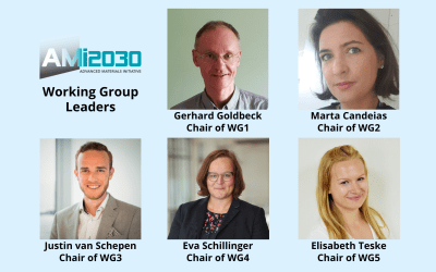 Our Working Group Chairs share their experience!